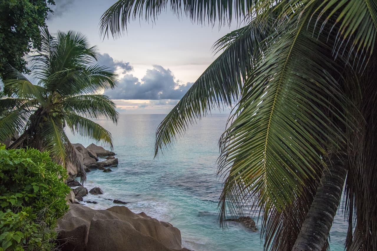 Palm trees and granite boulders above a turquoise cove, Seychelles