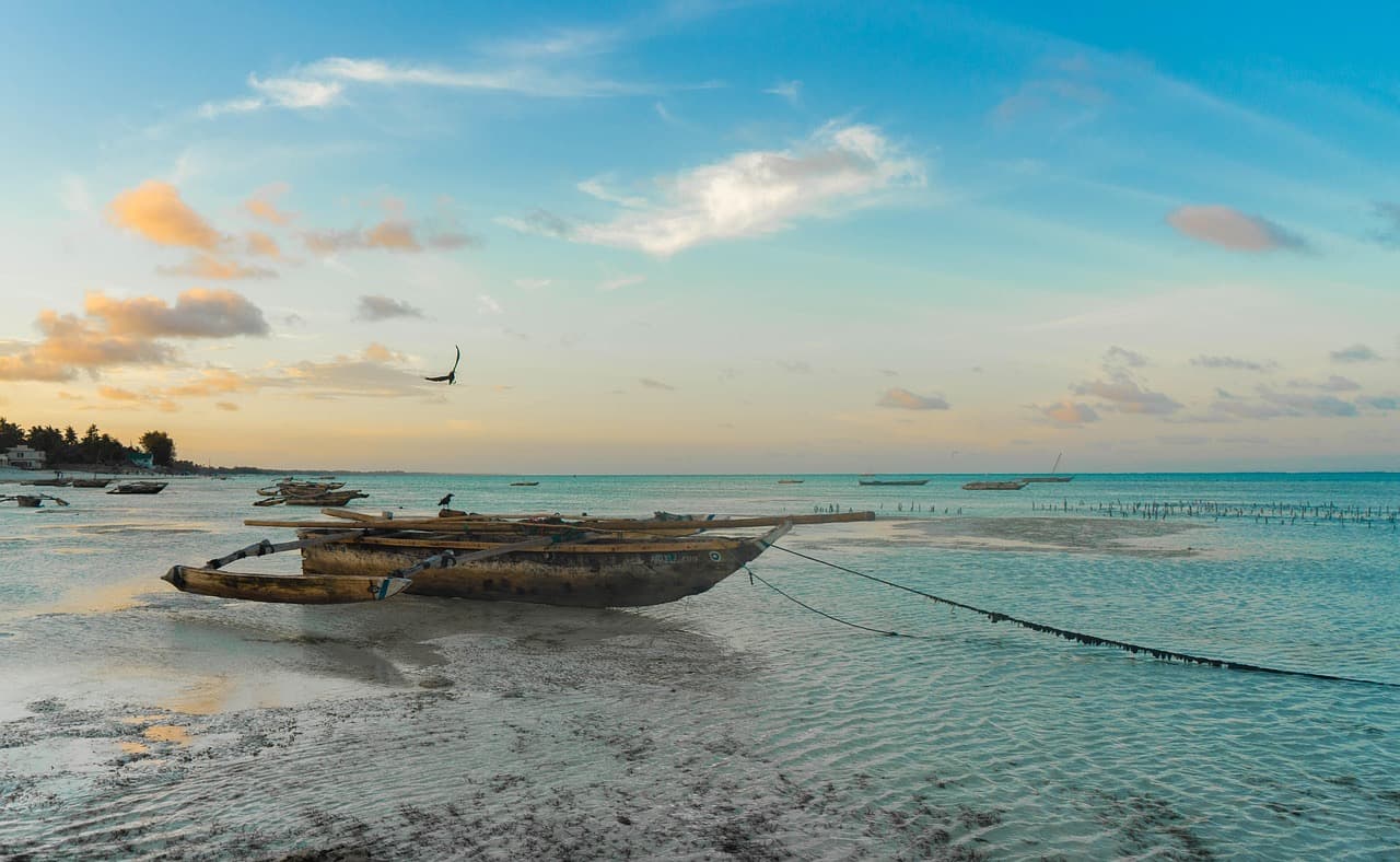 A white-sand beach on Zanzibar, Tanzania