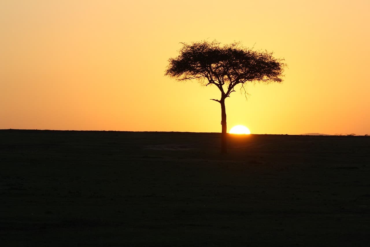 Sunset over the Masai Mara